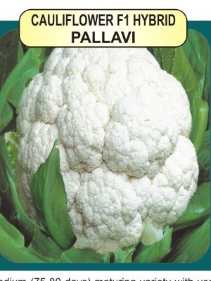 Cauliflower F1 Seeds