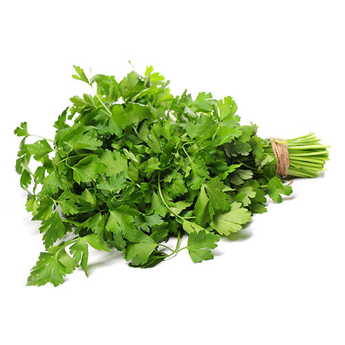 Fresh Coriander