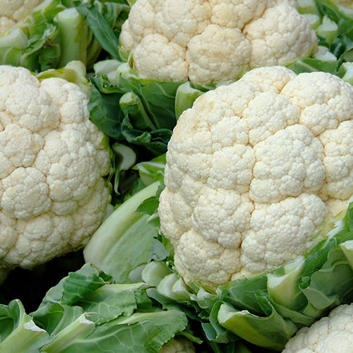 Fresh Cauliflower