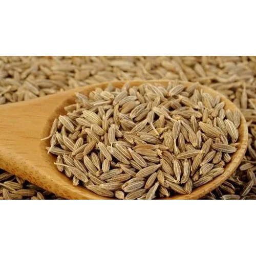 Cumin Seeds
