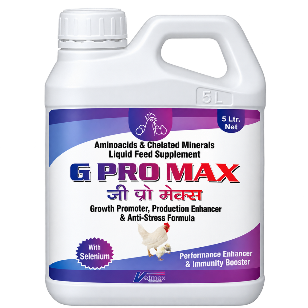 Growth & Immunity Promoter poultry