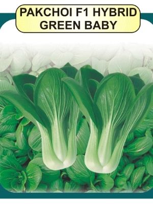 Pak choi (Bok choy) Seeds