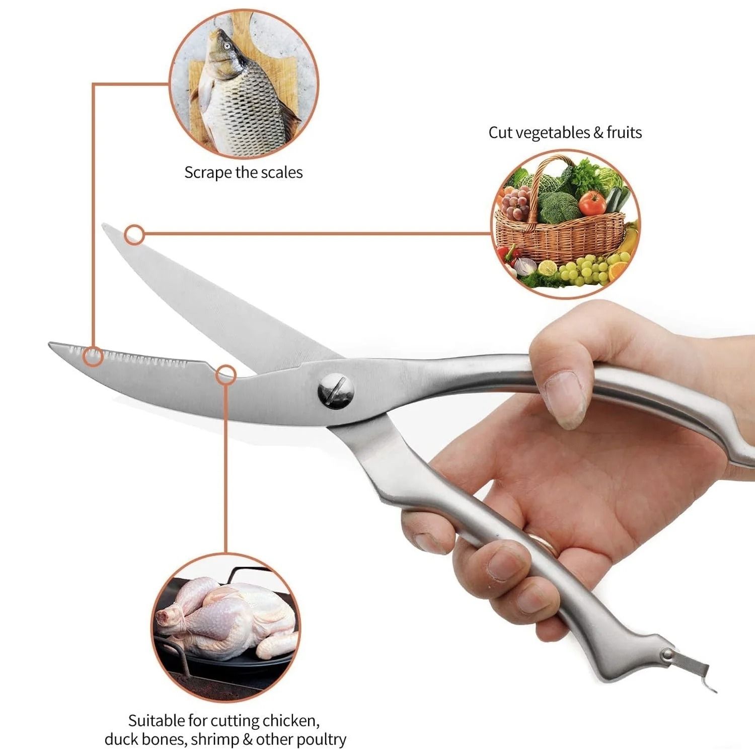 STAINLESS STEEL POULTRY SHEARS SCISSORS