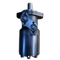 Omr Series Orbital Motor - Body Material: Steel