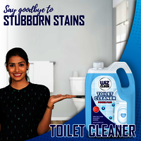 WiZ Toilet Cleaner - 5L