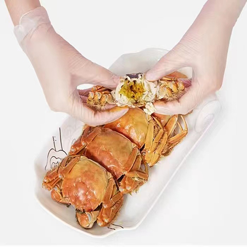 Full Finger Vinyl Glove