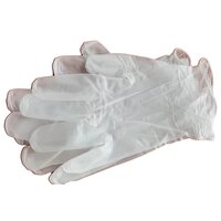 Disposable Vinyl Glove