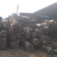 High Quality & Durability Walnut Wood Logs
