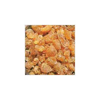 Gum Acacia