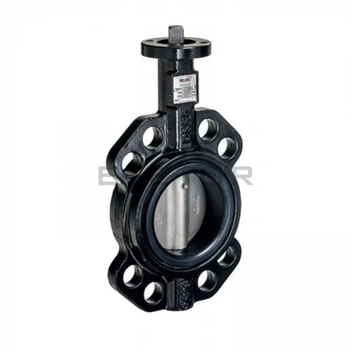 BELIMO D6100N Butterfly Valve