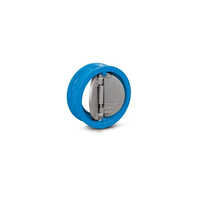 Blue Caste Iron Non Return Valves