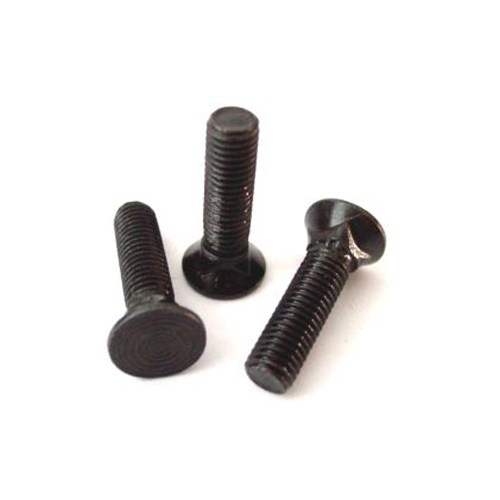 CSK Head Carriage Bolts