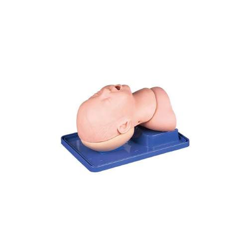 GD/J10  Infant Airway Management Model