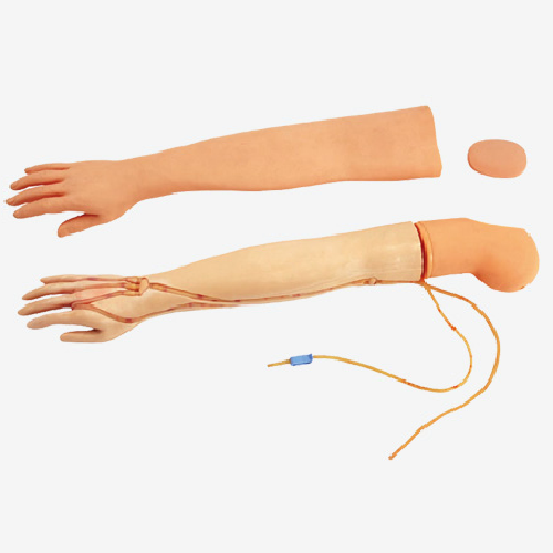 ( GD/HS2 ) Multi-Functional IV Training Arm