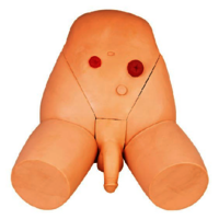 Male Catheterization Training Simulator - High-quality Pvc Material, Skin Color, Plain Style | Realistic Anatomy For Comprehensive Training Experience