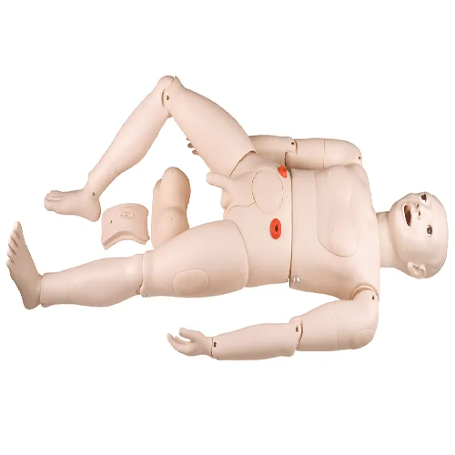 ( NS6001 )  Multi-Functional Nursing Simulator (Male)