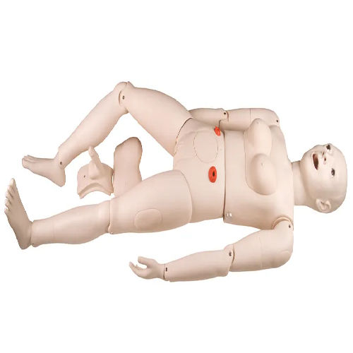 ( NS6002) Multi-Functional Nursing Simulator (Female)