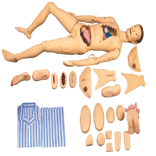 ( GD-H100S ) Basic Combination Nursing Manikin