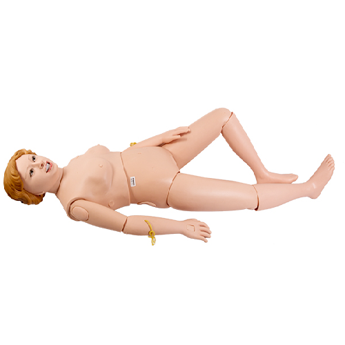 ( GD-H2 ) Multi Functional Nursing Manikin