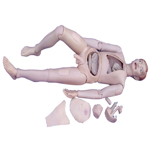 ( XC-401A ) High Quality Nurse Training Male Doll (Male)