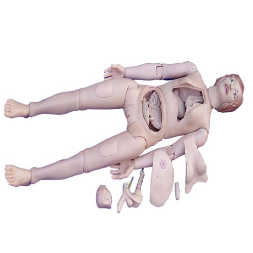 Skin High Quality Nurse Training Female Doll