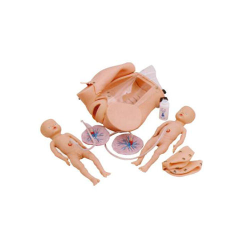 Obstetrics and Gynecology Manikin