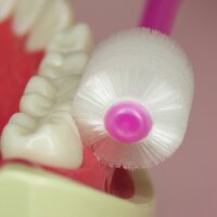 Popotan Kids Toothbrush - Bristle Color: White