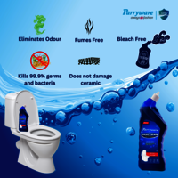 Sanclean Toilet Cleaner
