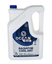 COOLANT  Anti-rust 5 LTR