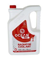 COOLANT  Anti-rust 5 LTR