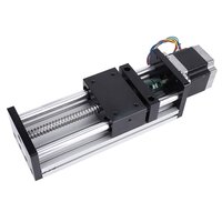 Linear Slide With Ball Screw - Color: Silver