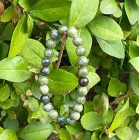 Green Jasper Bracelet