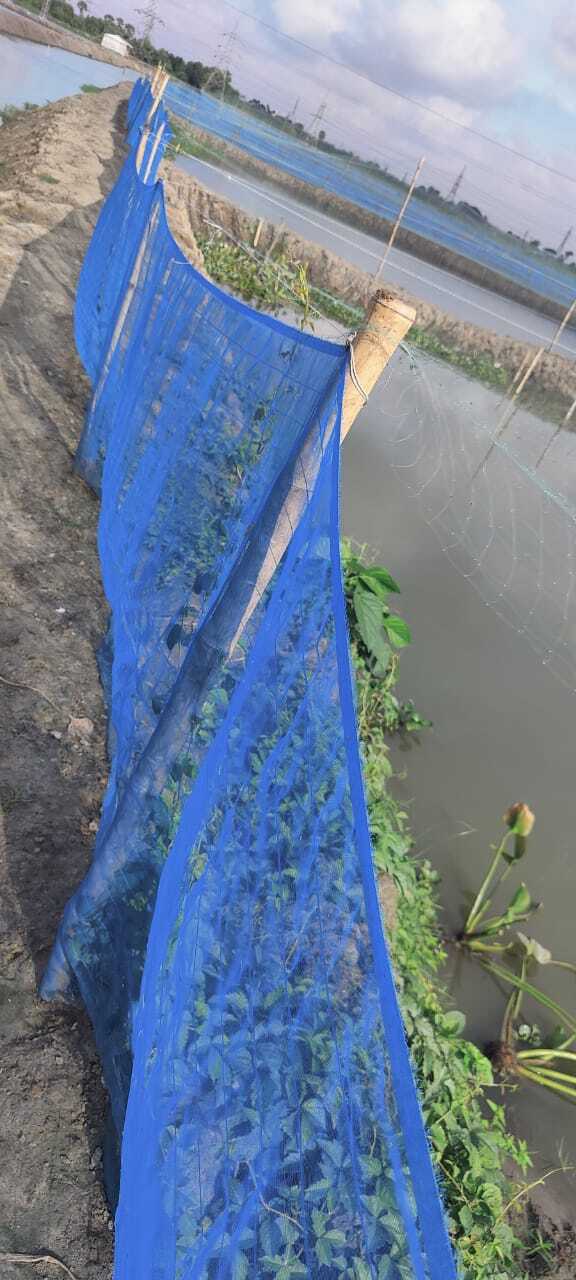 50 mtr. Pond Side Net - 50 mtr. Pond Side Net Manufacturer, Distributor,  Supplier, Trading Company, Kolkata, India