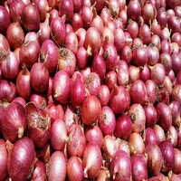 Fresh Onion - Raw, Nil Moisture | Versatile Vegetable With Pungent Flavor And Rich Nutrients