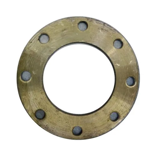 10 Inch Mild Steel Round Flange