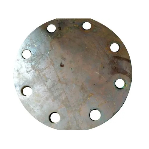 Mild Steel Round Flange