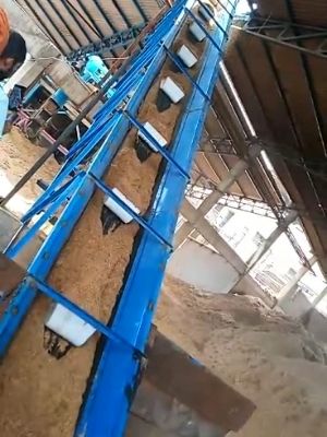 Bucket Belt Conveyor