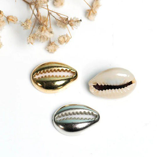 Shell Charms