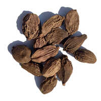 Black Cardamom