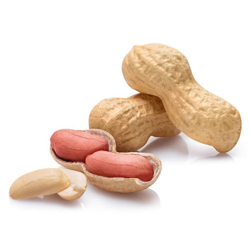 Roasted And Dried Peanuts