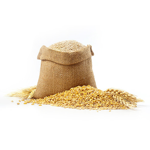 Wheat Grains