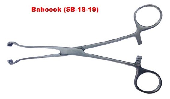 Babcock forceps 6 inch