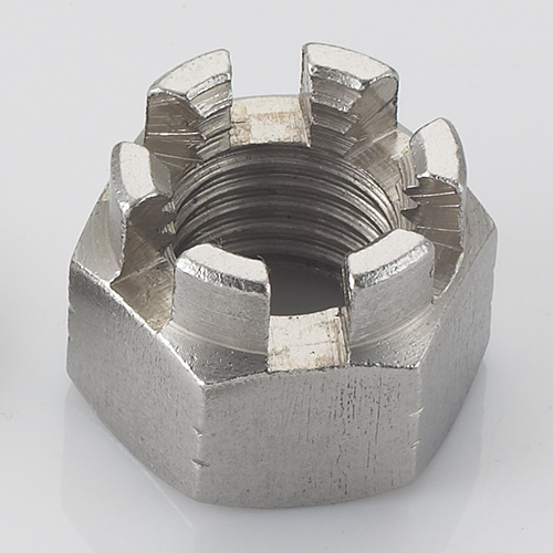 High Quality Din935 Ss Special Nut