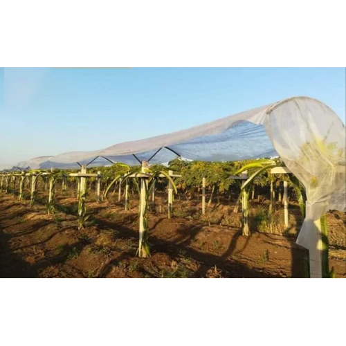 Grows Crop Cover