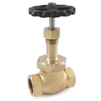 Bronze Union Bonnet Globe Valve - 1/2 Inch, Golden Color, Ideal For Water, Oil & Steam Flow Control