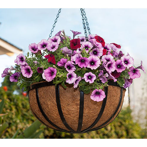 Coir Hanging Pots