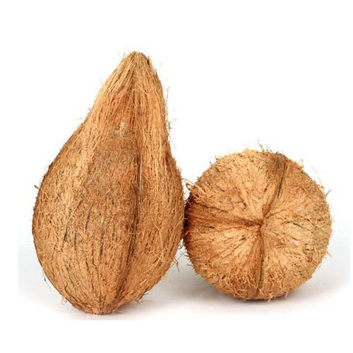 Fresh Coconut