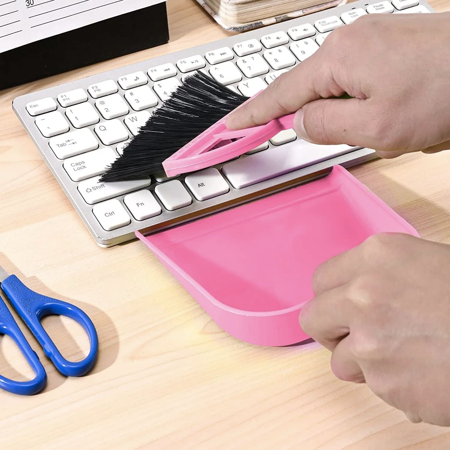 DUSTPAN WITH BRUSH