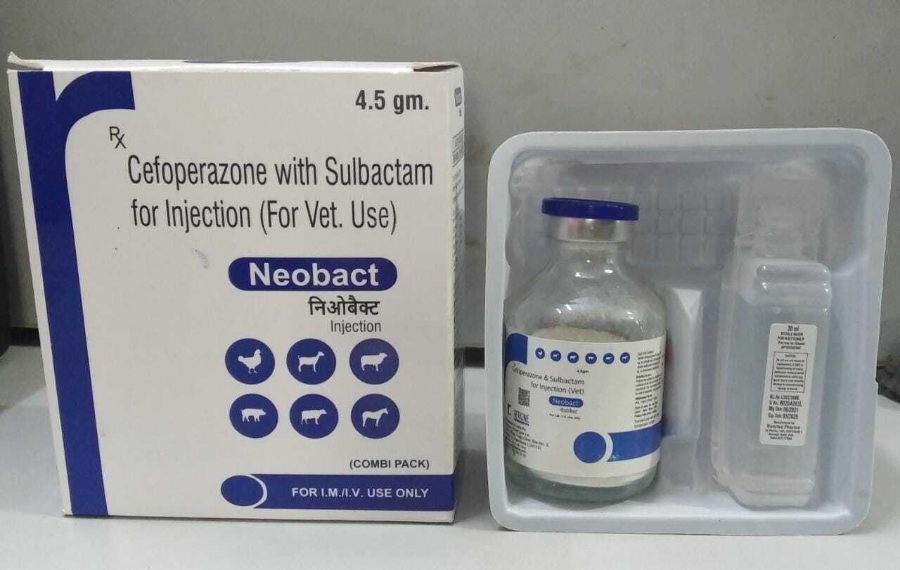 Amoxycillin Cloxacillin Injection Veterinary