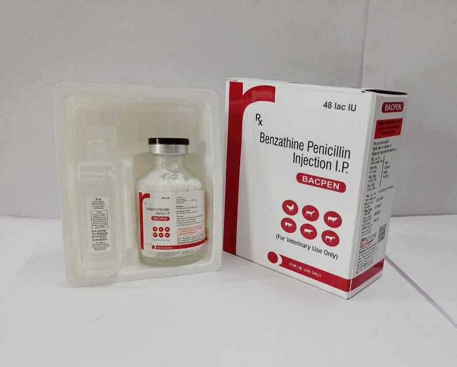 Amoxycillin Cloxacillin Injection Veterinary